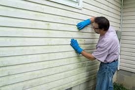 Trusted River Grove, IL Siding Experts